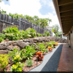 ハレ　ポオラ14